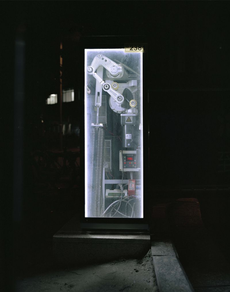 © Yan Shi - Image from the Plastic wings photography project