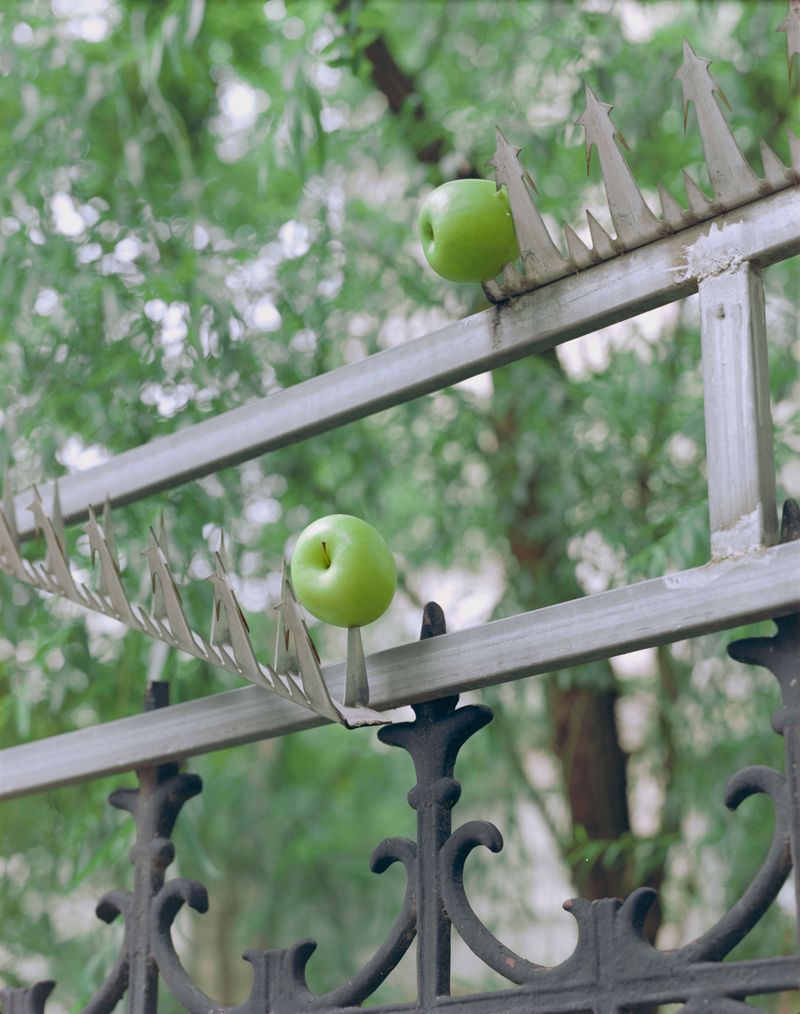 © Yan Shi - Image from the Plastic wings photography project