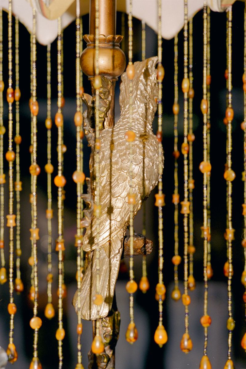 © Yan Shi - Image from the Plastic wings photography project