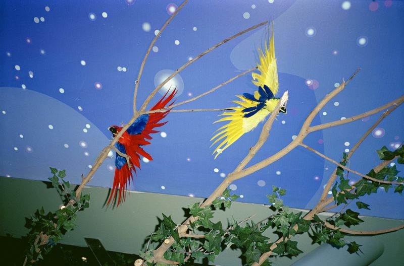 © Yan Shi - Model birds in the mall