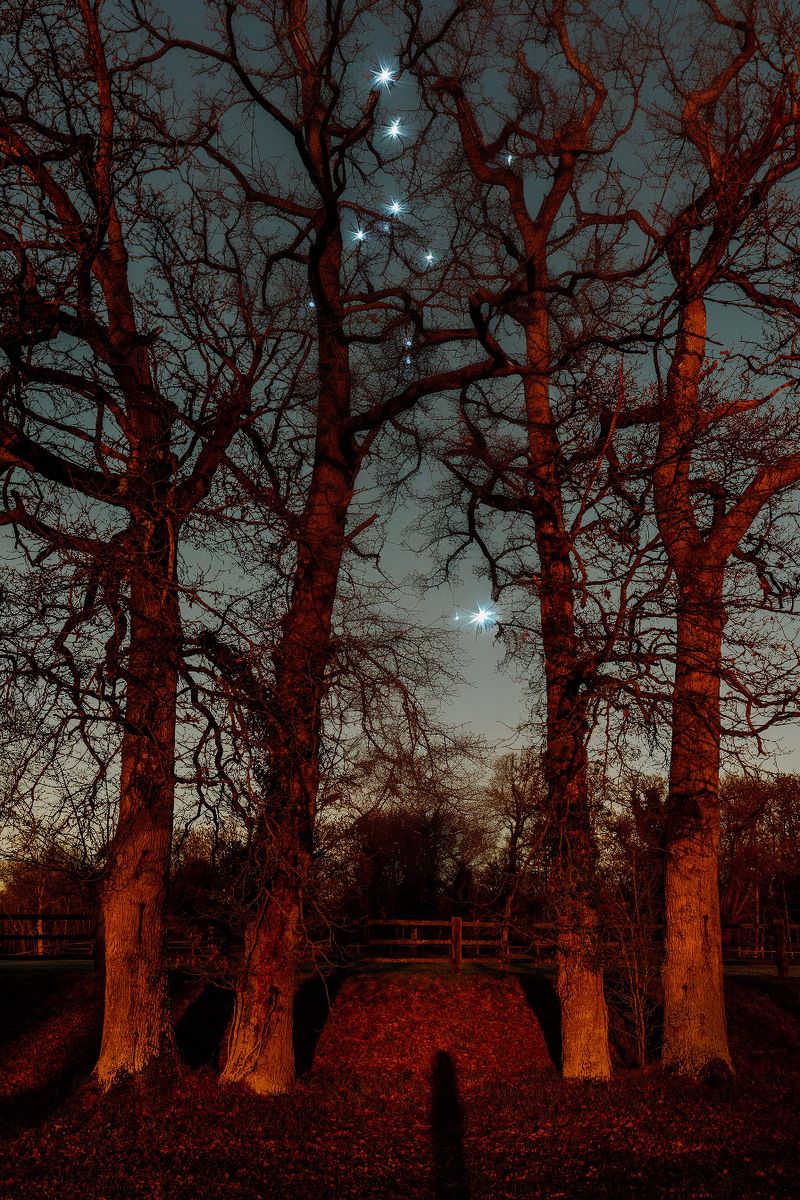 © Olivia de Villaine - Image from the Between Memory and Milk photography project