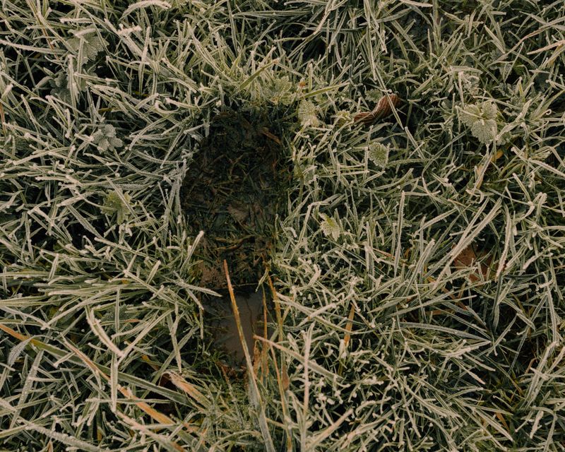 © Olivia de Villaine - Image from the Between Memory and Milk photography project