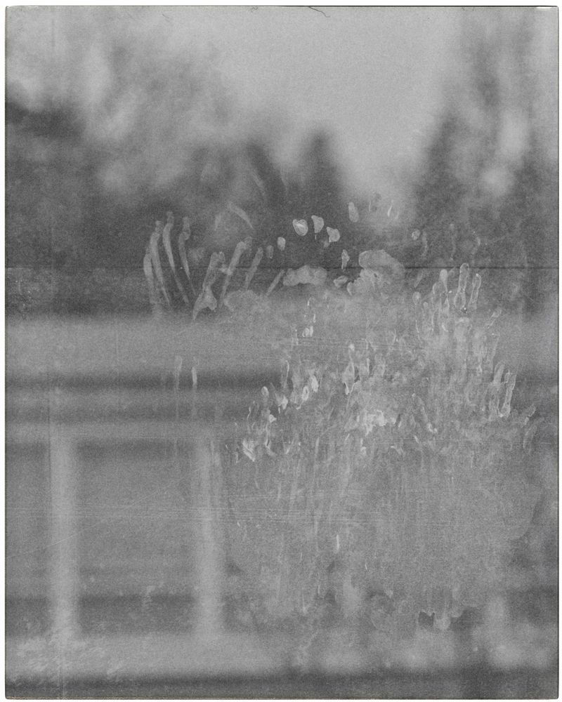 © Olivia de Villaine - Image from the Between Memory and Milk photography project