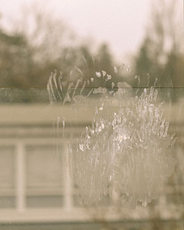 © Olivia de Villaine - Image from the In My Flesh photography project