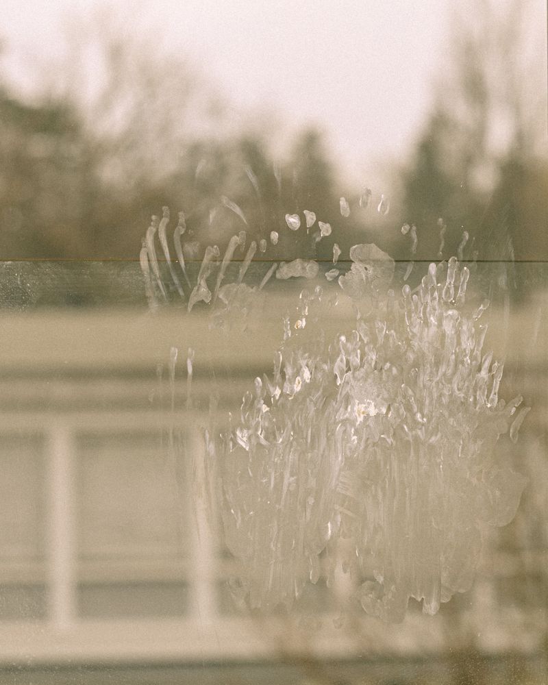 © Olivia de Villaine - Image from the In My Flesh photography project