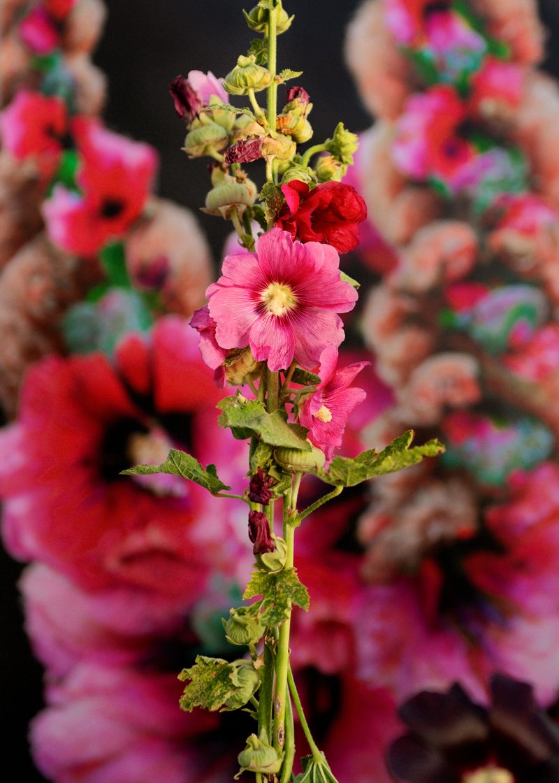 © Martina Lajczak - Image from the RIVERS WE CARRY, MOUNTAINS WE SEEK photography project