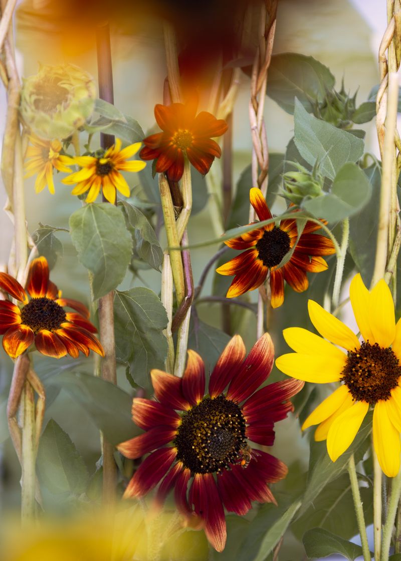 © Martina Lajczak - Image from the RIVERS WE CARRY, MOUNTAINS WE SEEK photography project