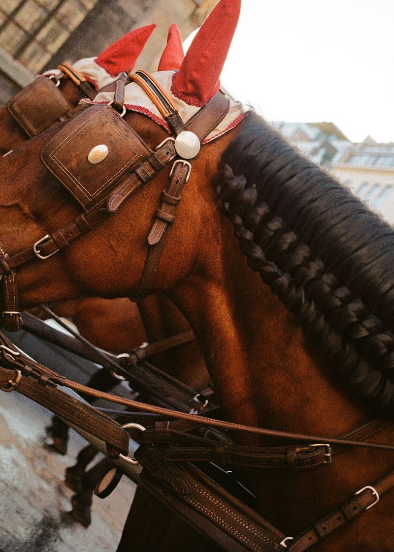 © Martina Lajczak - Image from the RIVERS WE CARRY, MOUNTAINS WE SEEK photography project