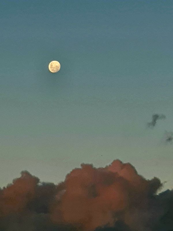 © Clare Jaque vasquez - Dusty pink clouds captured during the waxing gibbous pahse of the moon in far north Queelsand in Australia.