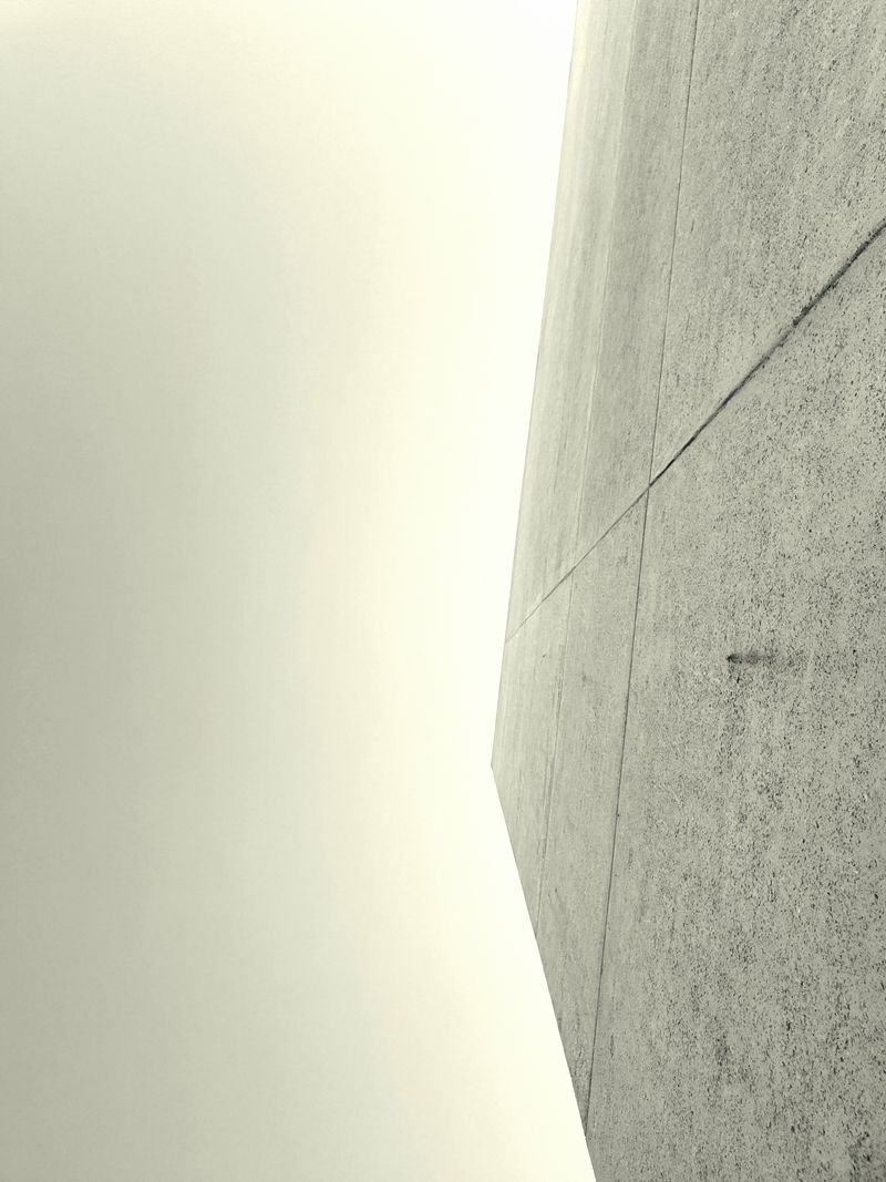 © Clare Jaque vasquez - Bird excrement captured on Queensland museum building in Brisbane, Australia.