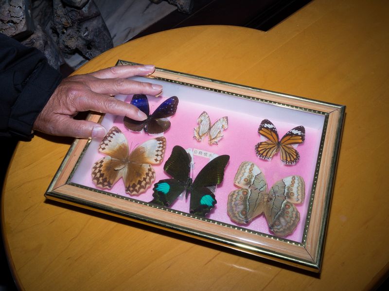 © Yuchen Wang 王宇琛 - Image from the Where the Ocean Ends, Mountains Becoming｜海盡之處，群山初現 photography project