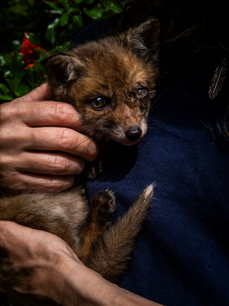 © Irene Alison - Image from the The Feather Collector photography project