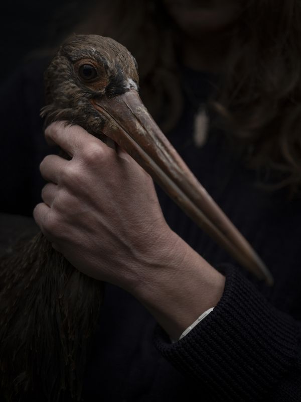 © Irene Alison - Image from the The Feather Collector photography project