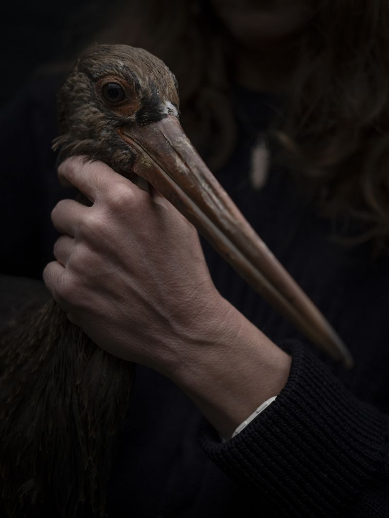© Irene Alison - Image from the The Feather Collector photography project