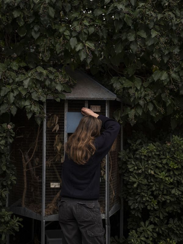 © Irene Alison - Image from the The Feather Collector photography project
