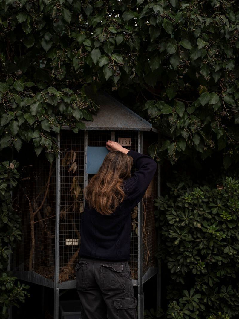 © Irene Alison - Image from the The Feather Collector photography project