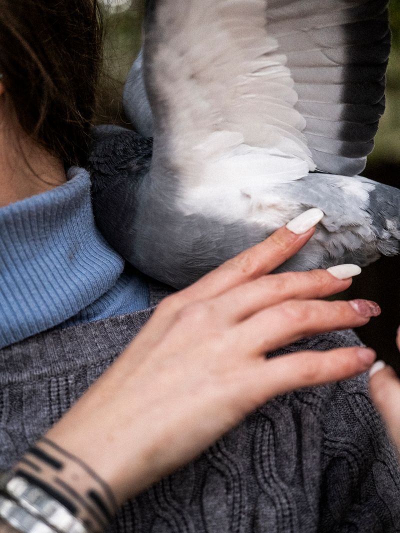 © Irene Alison - Image from the The Feather Collector photography project