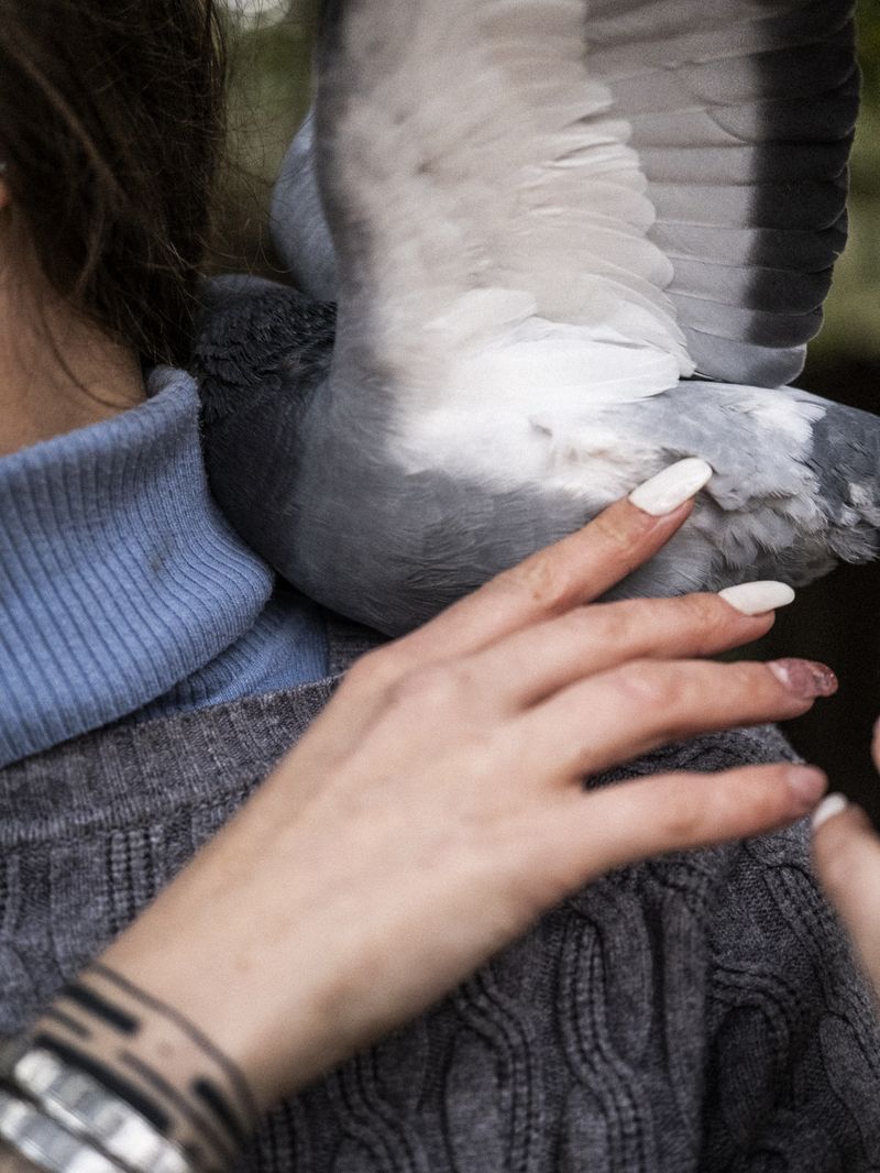 © Irene Alison - Image from the The Feather Collector photography project