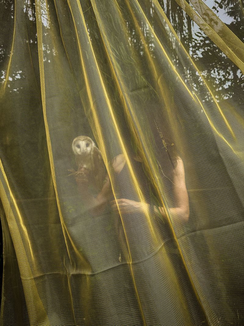 © Irene Alison - Image from the The Feather Collector photography project