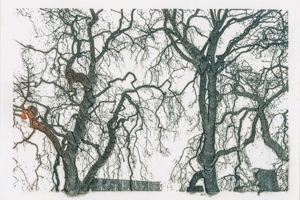 © Haohui Liu - echoed erosion