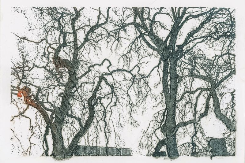 © Haohui Liu - echoed erosion