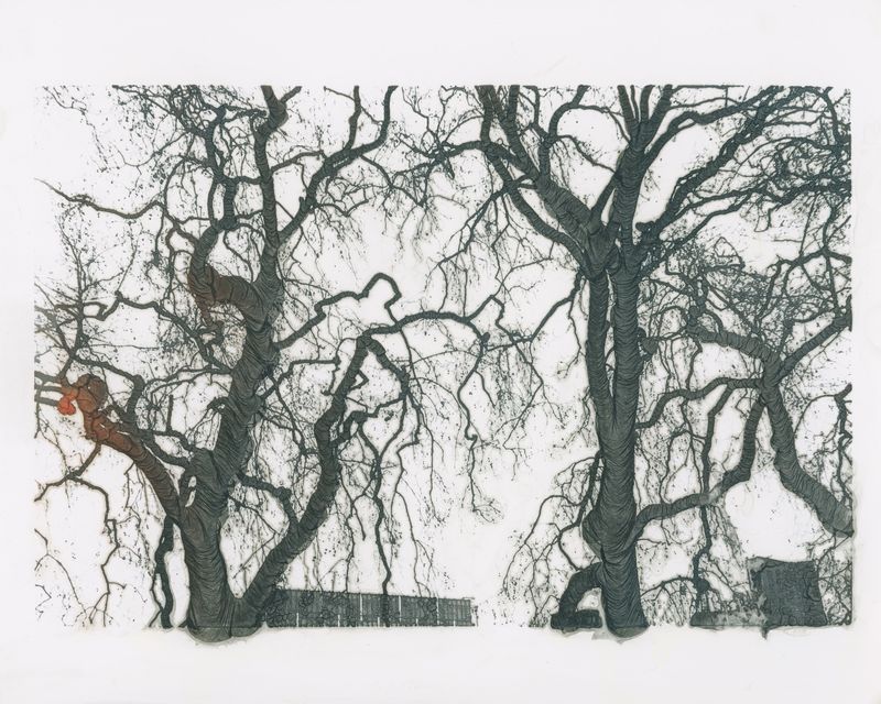 © Haohui Liu - Image from the floating smoke and passing clouds photography project