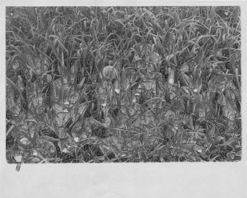 © Haohui Liu - Image from the floating smoke and passing clouds photography project