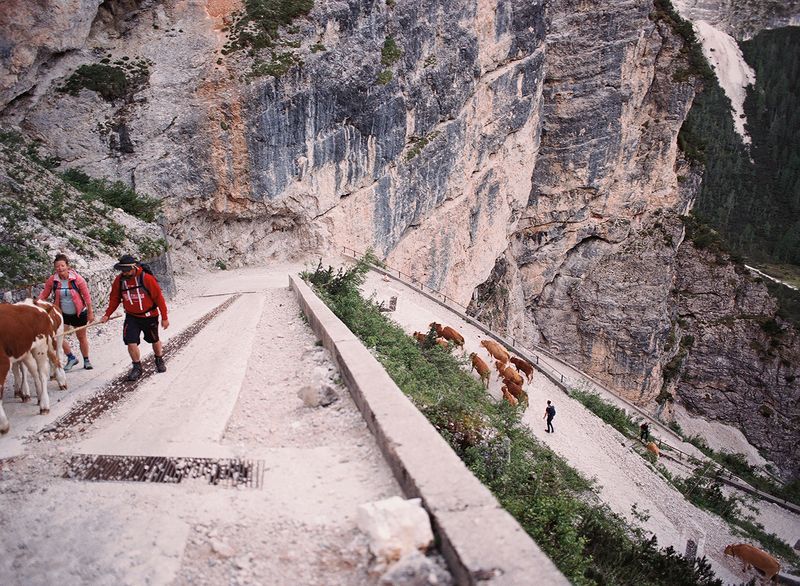 © Claudia Mann - Farmers start jí a munt with a difficult climb to Munt de Sennes.