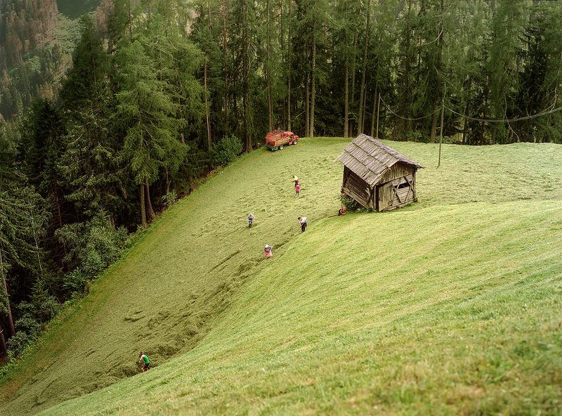 © Claudia Mann - The Pallestrong family collects hay on their property in Rina, a fraction od Badia.