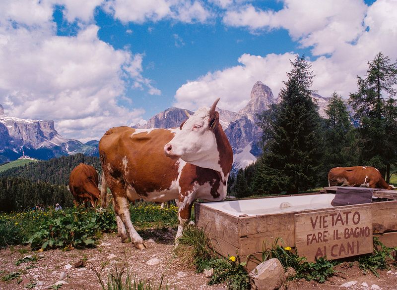 © Claudia Mann - Image from the Within the Mountain photography project