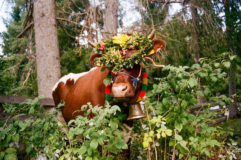 © Claudia Mann - Image from the Within the Mountain photography project