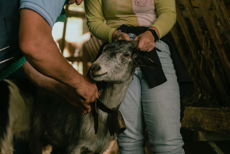 © Claudia Mann - The ritual of the bells I. First day of transhumance.
