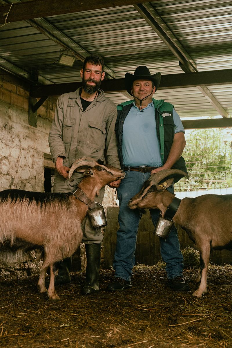 © Claudia Mann - The ritual of the bells II. First day of transhumance.