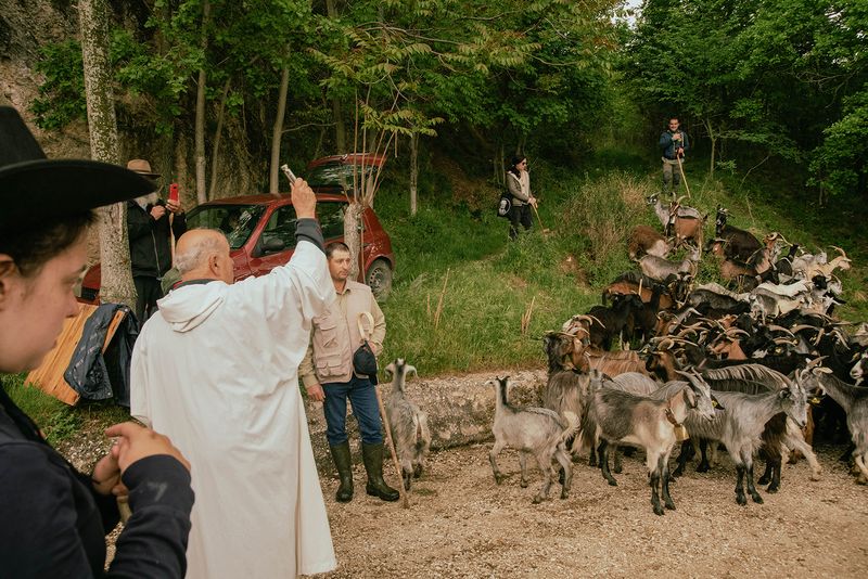 © Claudia Mann - The blessing of the heard. First day of transhumance.