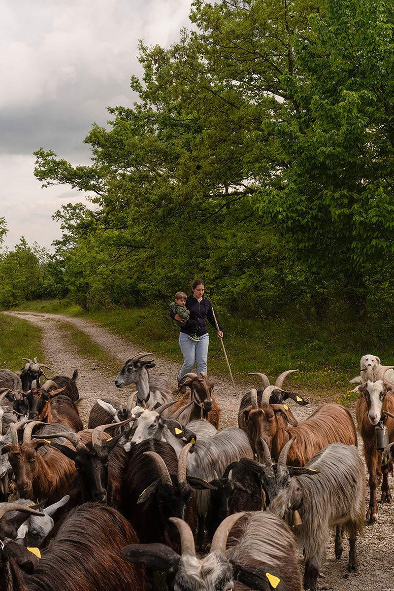 © Claudia Mann - Marianna, Giordano and the herd. First day of transhumance.