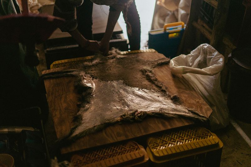 © Claudia Mann - Ashing and salting goat skin. The day before transhumance.