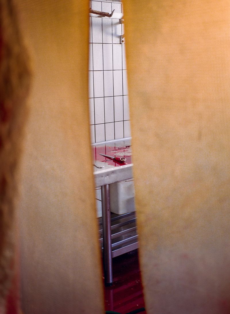 © Claudia Mann - A knife used for the exsanguination of a cow in a butcher shop in Val Badia.