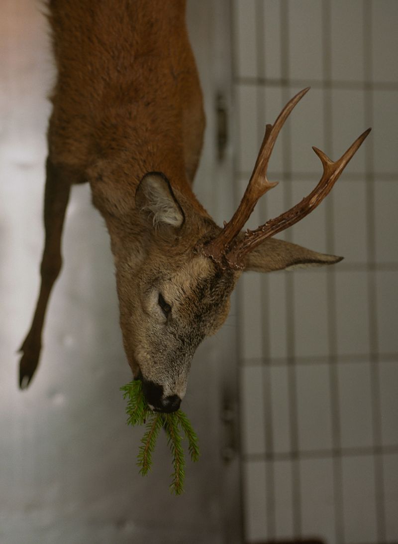 © Claudia Mann - Image from the Within the Mountain photography project