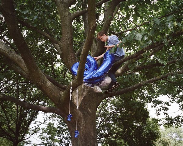 © alice zoo - Image from the But it shimmers, it does not stop photography project