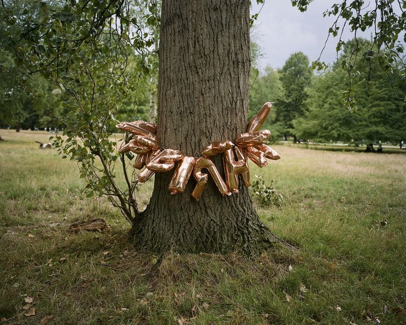 © alice zoo - Image from the But it shimmers, it does not stop photography project