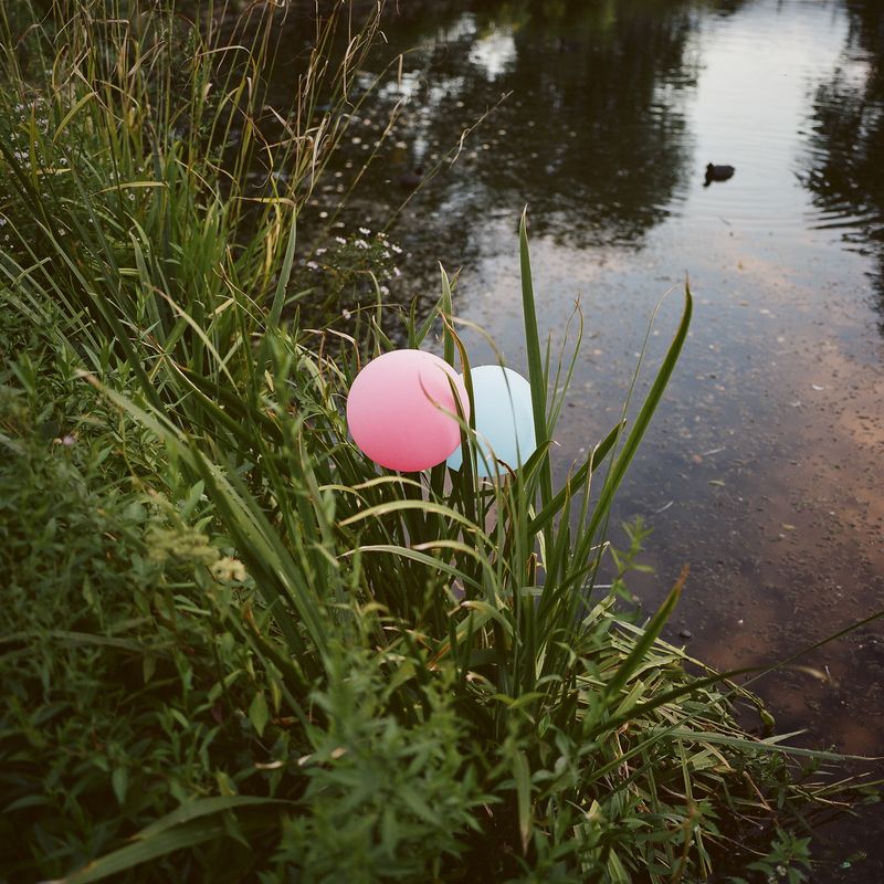 © alice zoo - Image from the But it shimmers, it does not stop photography project