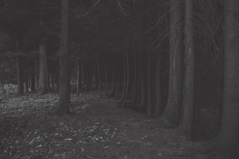 © Magdalena Ubysz - Traces left by the Nazis, which I discovered in the unfinished motorway and nearby forests in Poland.