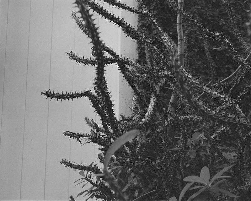 © Rodrigo Pinheiro and Gal Cipreste Marinelli - Image from the GH, Gal and Hiroshima photography project