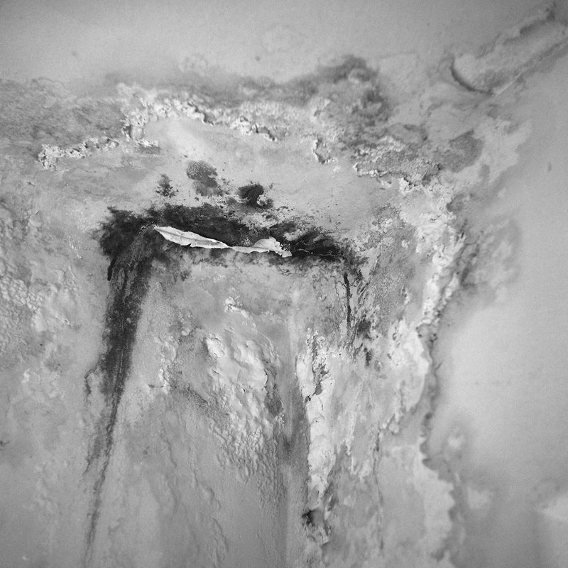 © Rodrigo Pinheiro and Gal Cipreste Marinelli - Image from the gal and Hiroshima photography project