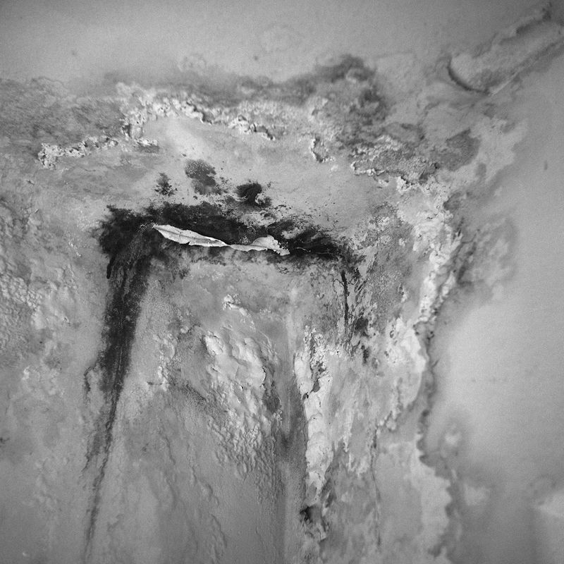 © Rodrigo Pinheiro and Gal Cipreste Marinelli - Image from the gal and Hiroshima photography project