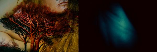 © Nicole Vittoria de Jager - 1