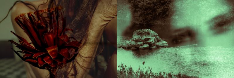 © Nicole Vittoria de Jager - 5