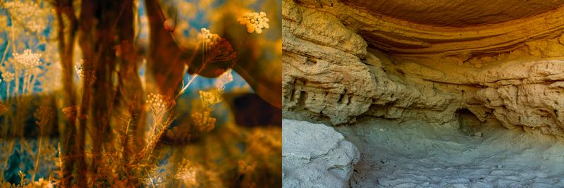 © Nicole Vittoria de Jager - 12