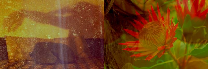 © Nicole Vittoria de Jager - 10