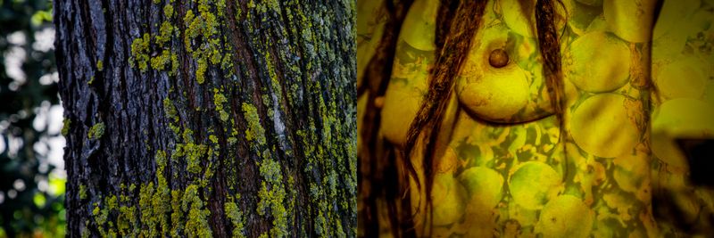 © Nicole Vittoria de Jager - 7